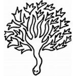 The Serpents Hand (SCP)
