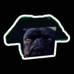 Kingdom of Pugg