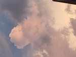 패티