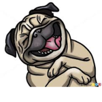 Hungry Pugs