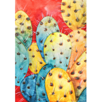 The Cactus Fan Group!