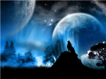 Starlight Wolves