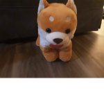 Dog _United