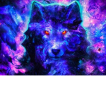 stellar wolf