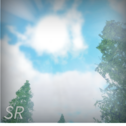 Forest [realistic graphic]