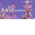 ~ TriΦ Aesthetics ~