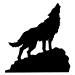 The midnight wolves!