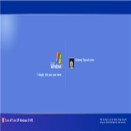 Windows XP Professional Welcome Screen 2