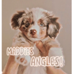 ・Maddie's Angels・