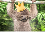 Official Team Sloth Forever
