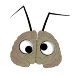BugBrains