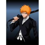 The Soul Reapers (Bleach)