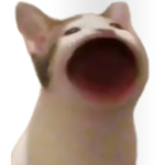 hamsterjoyce236 club