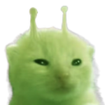 cccredskeletonsccc