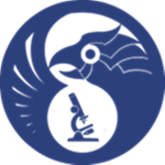 AR: Research and Development