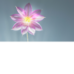 Crystalline Games