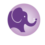 Purple Elephant's Squad
