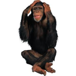 !MONKE STUDIOS!