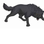 Wolfs Of The Land Of The Green Ring
