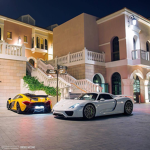Luxurious Friends
