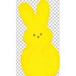 The peep club