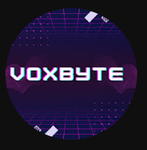 Voxbyte group