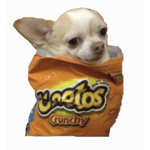 dum potato
