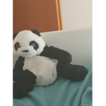 Panda i love panda