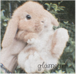 glamourr