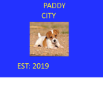 Paddy city