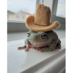 Turtleclothes