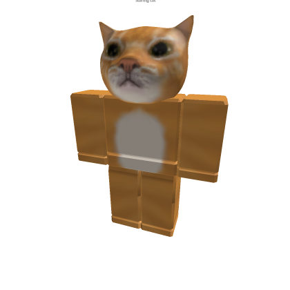 Staring Cat