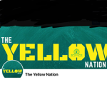 Assassin’s Yellow Nation