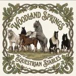 - Woodspring Equine - Group Thumbnail
