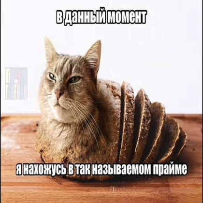One piece Roblox decal