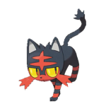 Soccer Cats