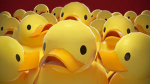 Army of ducks!!