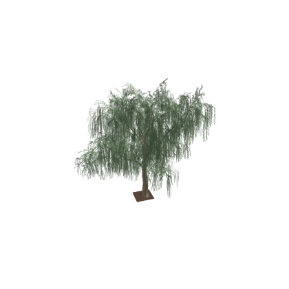 Snazzy tree?