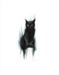 • SHE Is Coming . . . •