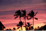 Honolulu Hawaii