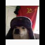 Oranges happy place.