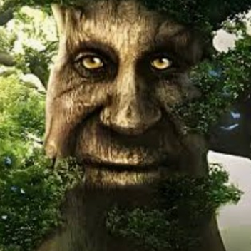 meet the wise mystical tree