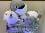 アザラシが好きな人集まれー！