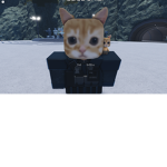 cool EL gAtO