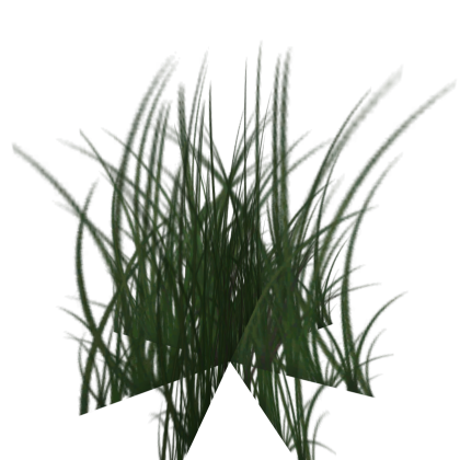 Tall Grass 4
