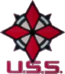 Umbrella Security Service