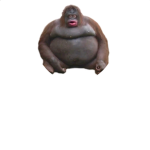 Min Guy