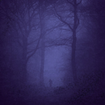 Cult Of The Lost