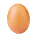 Common Egg