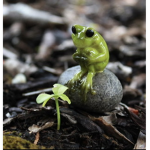 Frogz clubz